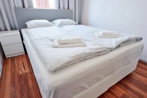 Postel nebo postele na pokoji v ubytování Apartment Molakova