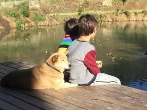 twee kinderen en een hond op een steiger in het water bij Beyond the Terrace Residence in Yuanyang