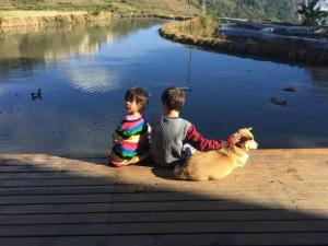 twee kinderen op een steiger met een hond bij Beyond the Terrace Residence in Yuanyang