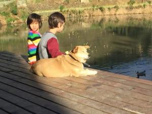 twee kinderen en een hond op een steiger bij Beyond the Terrace Residence in Yuanyang
