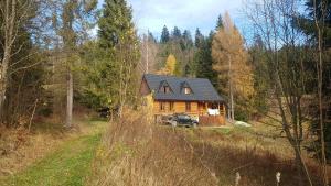 uma casa de madeira no meio de uma floresta em Bacówka w sercu gór - dom z bali w Gorcach em Łopuszna