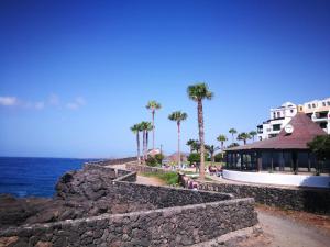 una pared de piedra junto al océano con palmeras en Rocas del Mar Apartment, en Costa del Silencio