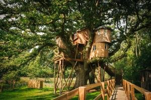 Galeriebild der Unterkunft Fox & Hounds Country Hotel in Chulmleigh