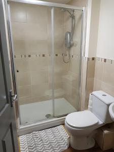 マトロックにあるCentral Matlock Apartmentのバスルーム(シャワー、トイレ、洗面台付)