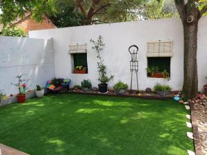 Ogród w obiekcie Casa de Huéspedes con encanto El Sueño del Quijote