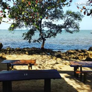 two picnic benches sitting on the beach near the water at Hospedagem Brisa e Mar in Rio do Amaro