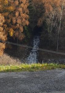 Táj az apartman közelében