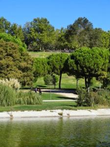 park z drzewami i wodą w obiekcie Apartamentos pandiellos I w Madrycie
