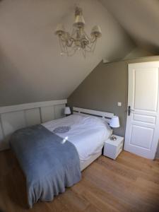 - une chambre avec un lit et un lustre dans l'établissement Le Gîte du Château, à Vic-sur-Aisne