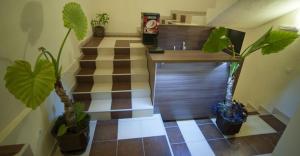 um quarto com uma escada com vasos de plantas em Prenoćište Trio em Vranje