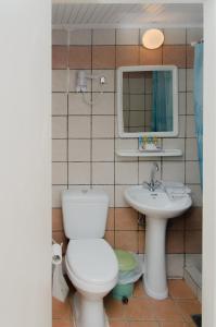 ein Badezimmer mit einem WC, einem Waschbecken und einem Spiegel in der Unterkunft Lefka Ori in Chora Sfakion