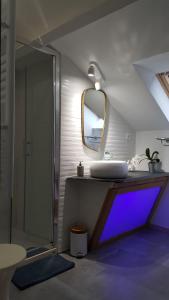 uma casa de banho com um lavatório e um espelho em Grand gîte - Stella Matutina em Barèges