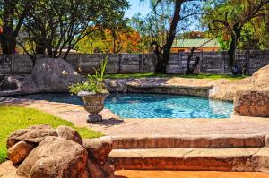 a pool in a yard with a vase of flowers at Butterfly Apartments in Livingstone