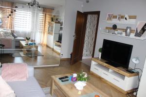 TV a/nebo společenská místnost v ubytování Apartament Euro 1 Bytom