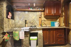 a small kitchen with a sink and a counter at Карпатське сонце (Karpaty Sun) in Kozevo