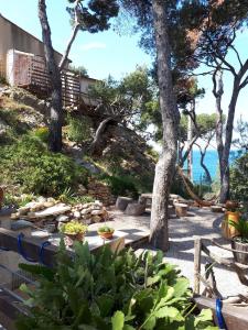 Κήπος έξω από το Villa Calanques +17 φωτογραφίες