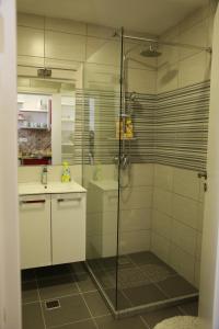 Kúpeľňa v ubytovaní Apartman Kupa + 37 fotografií