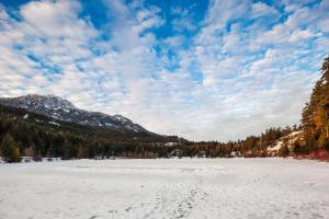 a snow covered field with footprints in the snow at Newly Renovated Whistler Studio in Whistler