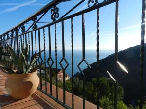 a plant in a pot on a balcony with a view at villa verde sul mare in Vietri sul Mare