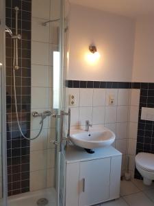 a bathroom with a sink and a shower and a toilet at Ferienwohnung Morbach in Morbach