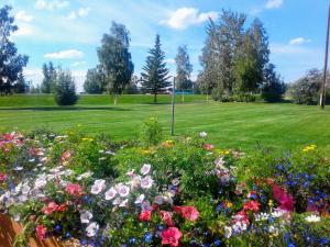 Alaska Country Inn في Delta Junction: حقل من الزهور مع حديقة في الخلفية