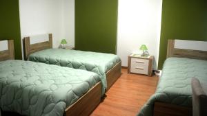 two beds in a room with green walls and wooden floors at BELO CAMPO - Ilha do Faial (Horta) in Castelo Branco