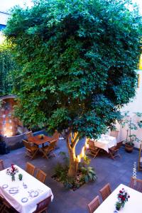 a tree in the middle of a patio with tables at Estrella de Belem B&B and Spa in Cholula