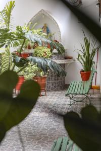 a room with potted plants and a green bench at Hotel Rio Mayo in Moyobamba