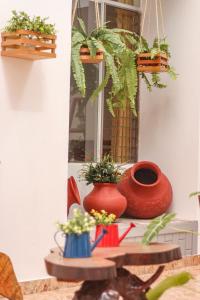 un groupe de vases et de plantes sur un rebord de fenêtre dans l'établissement Hotel Rio Mayo, à Moyobamba