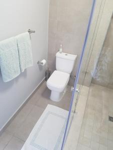 ein Bad mit einem WC und einer Duschkabine in der Unterkunft WATERS EDGE 103 in Kapstadt