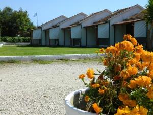 Zahrada ubytování Corfu Dream Village
