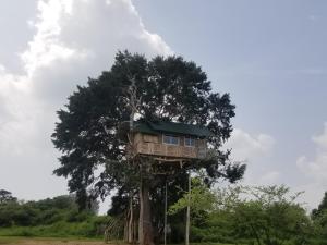 Gallery image of Yala Dream Park in Yala