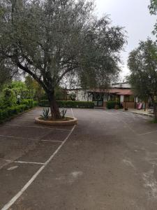un parking avec un arbre au milieu dans l'établissement San Pietro, à Mileto