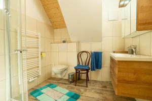 ein kleines Bad mit einem WC und einem Stuhl in der Unterkunft Ferienhof Schelchen in Hollenstein an der Ybbs