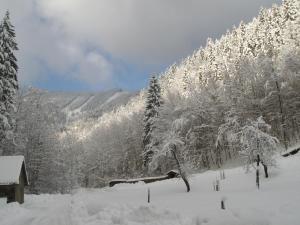 Ferienhof Schelchen im Winter