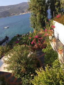 a view of the water from a house with flowers at Roditses Beach Sea Front Apartments in Samos