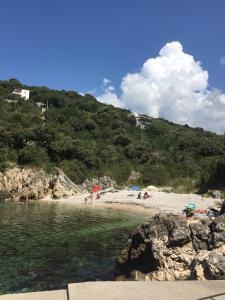 un groupe de personnes sur une plage près de l'eau dans l'établissement Apartmani Milanovic Susanj, à Bar