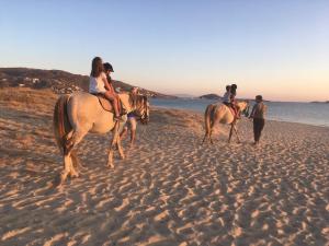 a group of people riding horses on the beach at Ploes Seaside Houses in Plaka