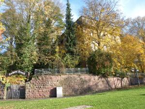 Zahrada ubytování Hotel Villa Arnold