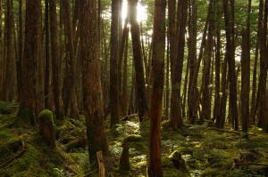 Φωτογραφία από το άλμπουμ του Resort Garni CORU σε Nagawa +52 φωτογραφίες