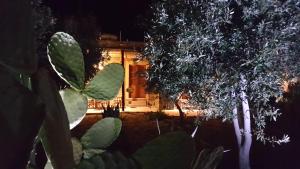 A garden outside Villa Patmos Netia