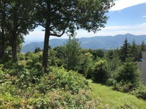 uma vista para uma colina com árvores e arbustos em Le Belvédère - GÎTES MARCK em Turckheim