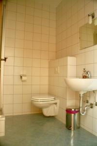 アルプバッハにあるJuwel Apartment in Landhaus Christina Alpbachのバスルーム(トイレ、洗面台付)