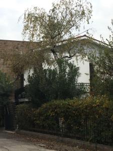 a tree in front of a house with a fence at Alla Rotonda dai Santi in Rovigo