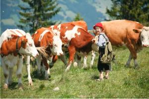 Zwierzęta w gospodarstwie agroturystycznym lub w pobliżu