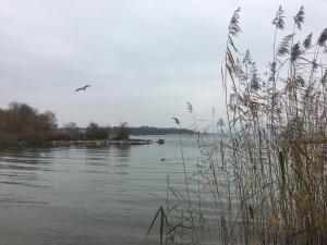 Loodusmaastik apartemendi lähedal