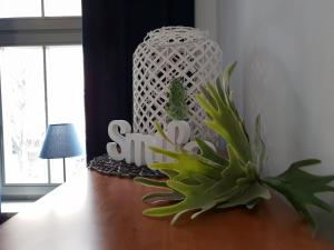 a potted plant sitting on a table next to a lamp at Kierunek Sopot Apartament GRACJA Monte Cassino 36 in Sopot
