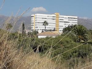 マルベーリャにあるAlicate Playa.のヤシの木が目の前に広がる白い建物