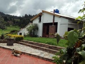 Zahrada ubytování Cabañas & Glamping De Ruana Por Boyacá