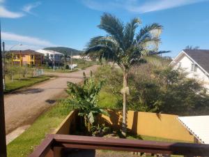 a palm tree on the side of a street at Apartamentos Di Armazzem in Torres